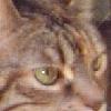 close-up of a cutie :o)
