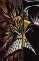 The Maxx